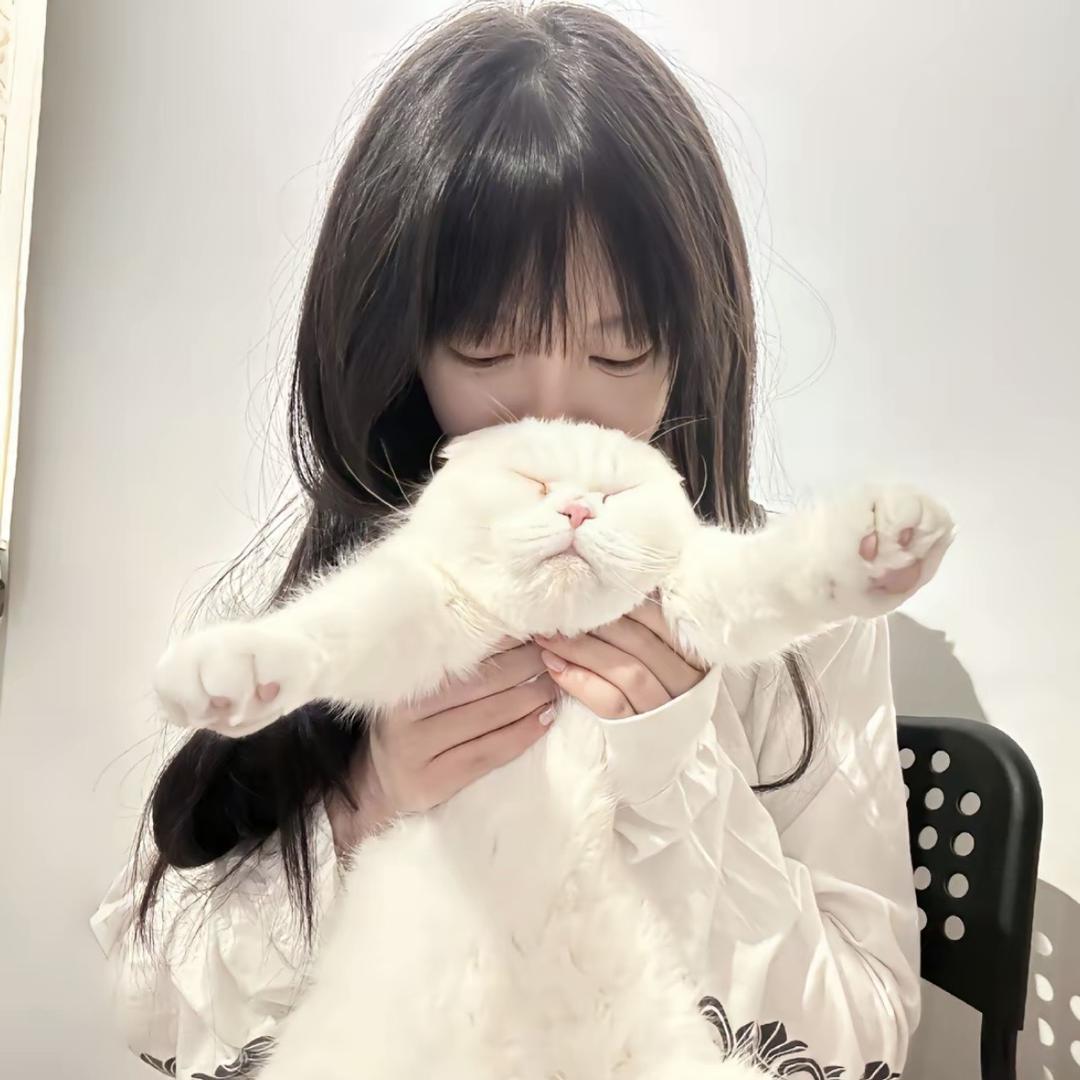 鸭头