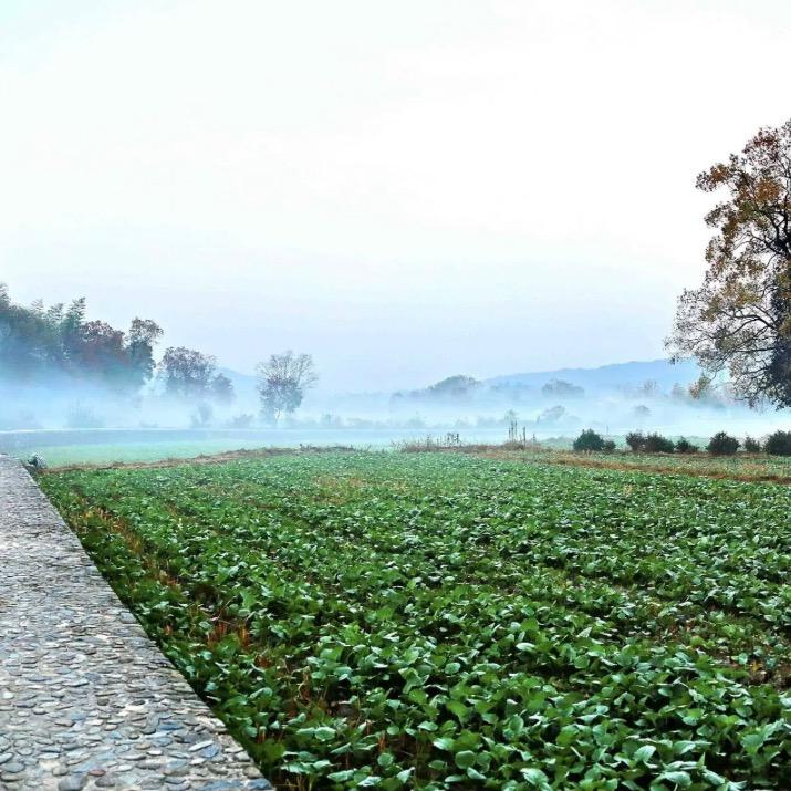 无处安放的双下巴.