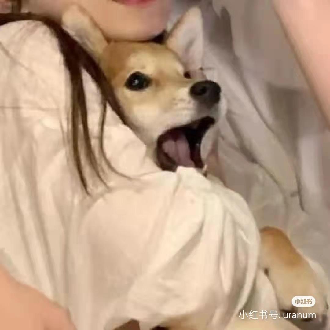 良民