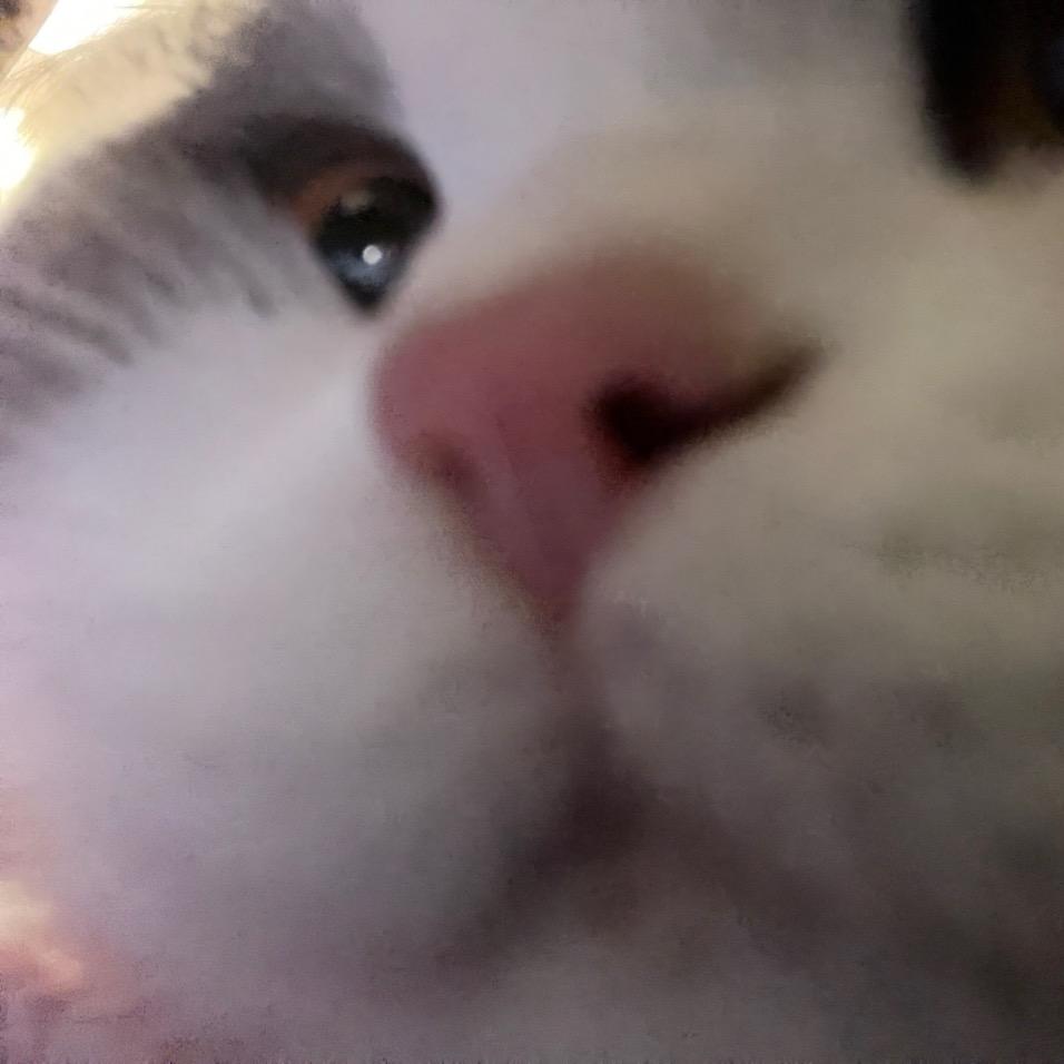阿优