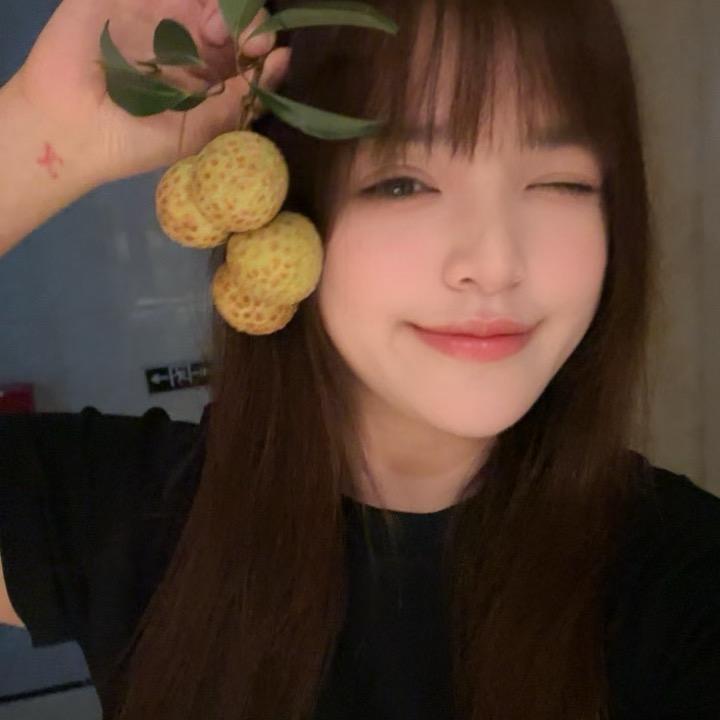 发财猪💰