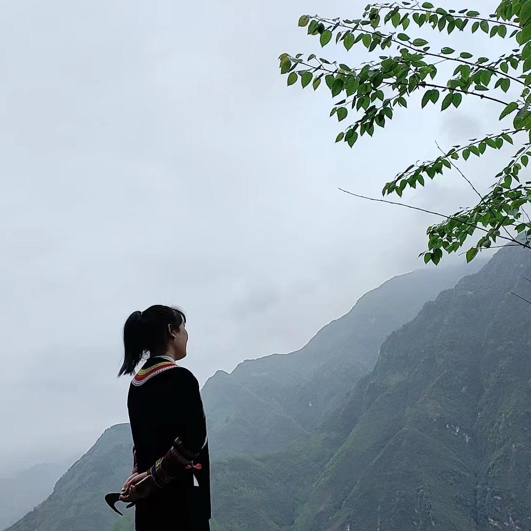 阿良找盆景🪴