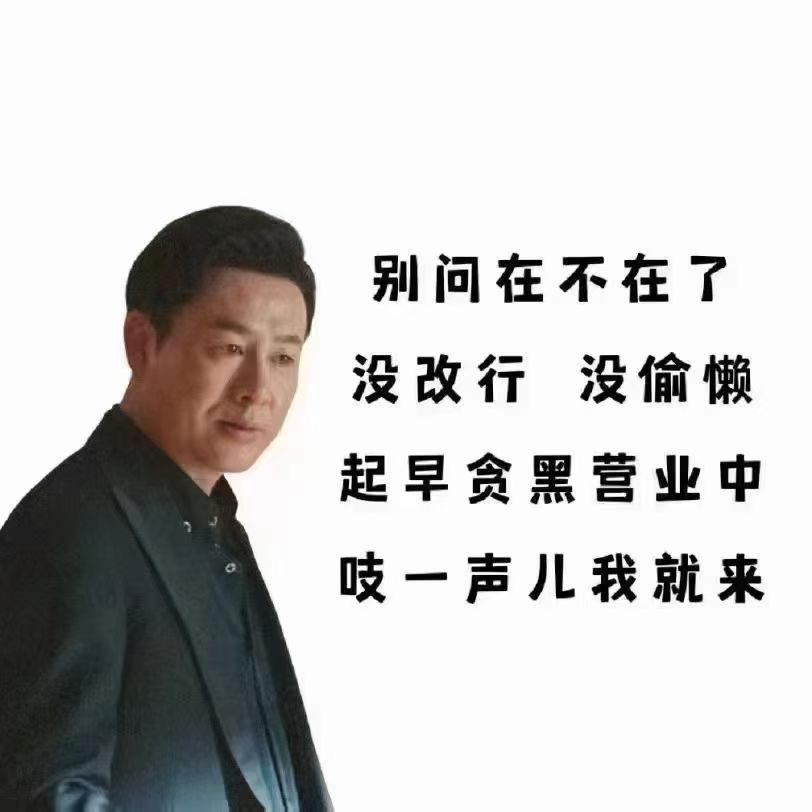 这一年
