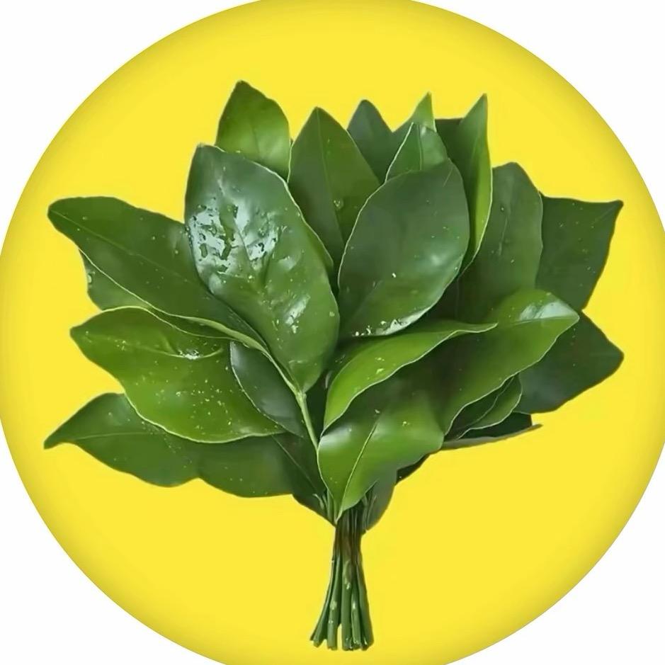 暖暖的朋友圈