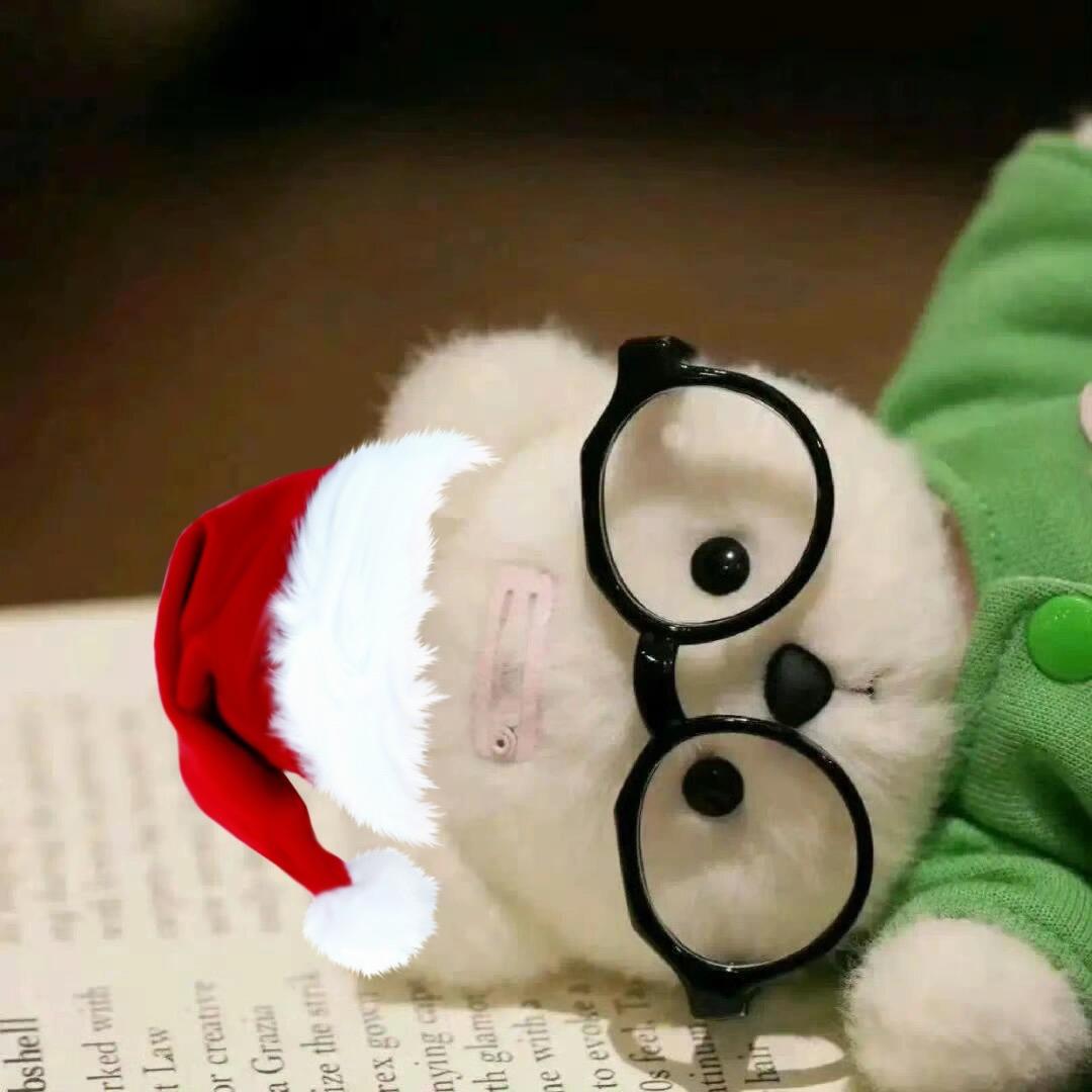 AAA金珉奎的肱二头肌小腿肌