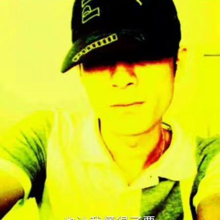 虚伪的.名词