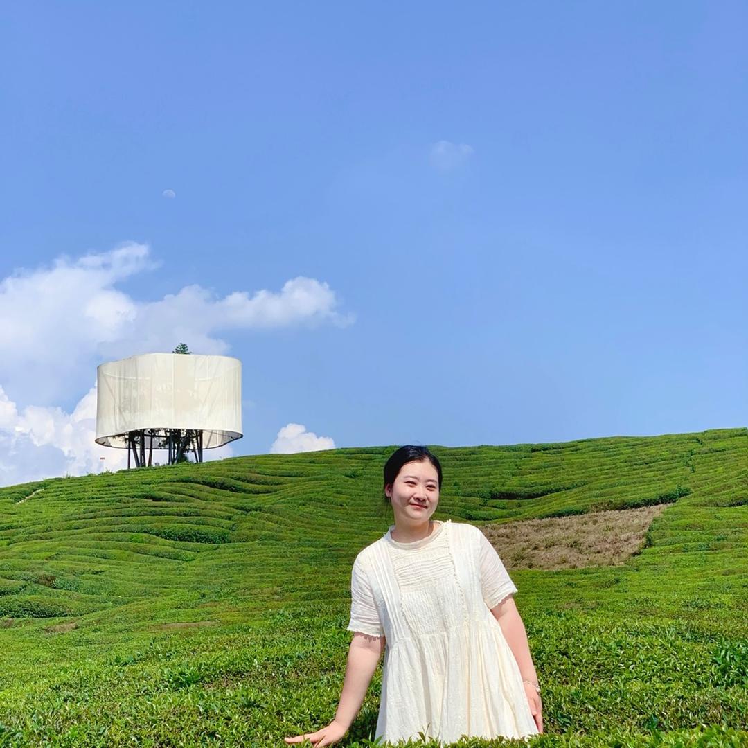 彤彤~