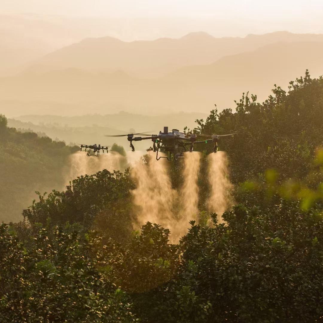 泰裕泽丰飞防-罗同学