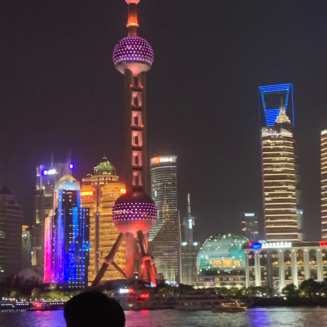 粘砖我是专业的