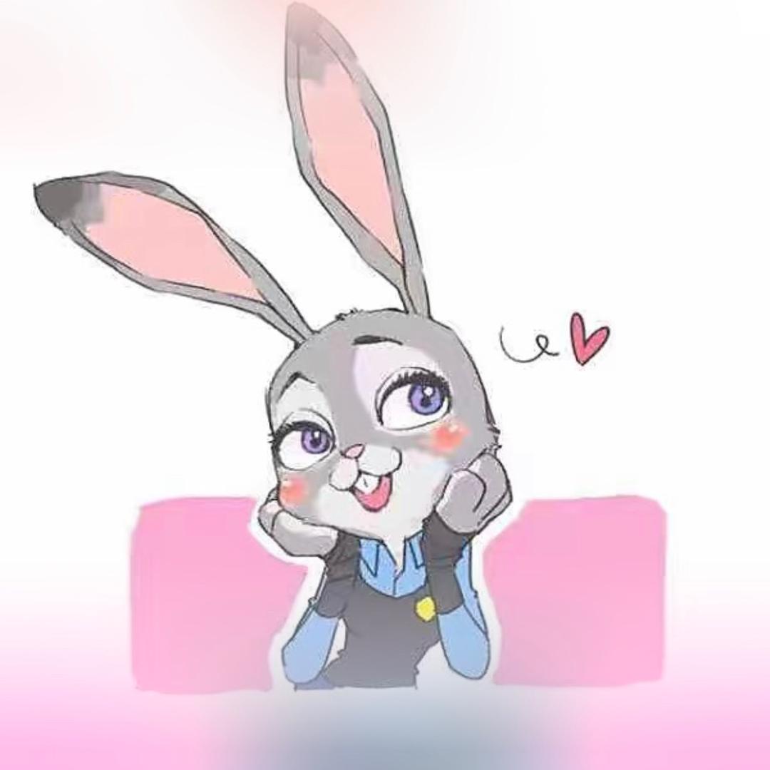 快乐の兔子🐰🐰