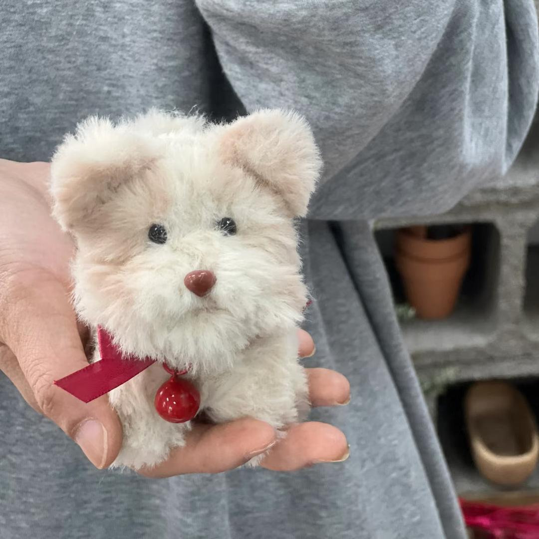 吃不胖的大可爱～