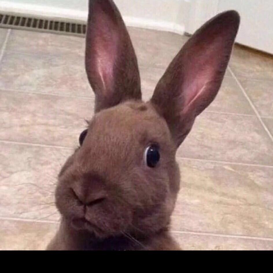 西阳镇丰润剪刀面