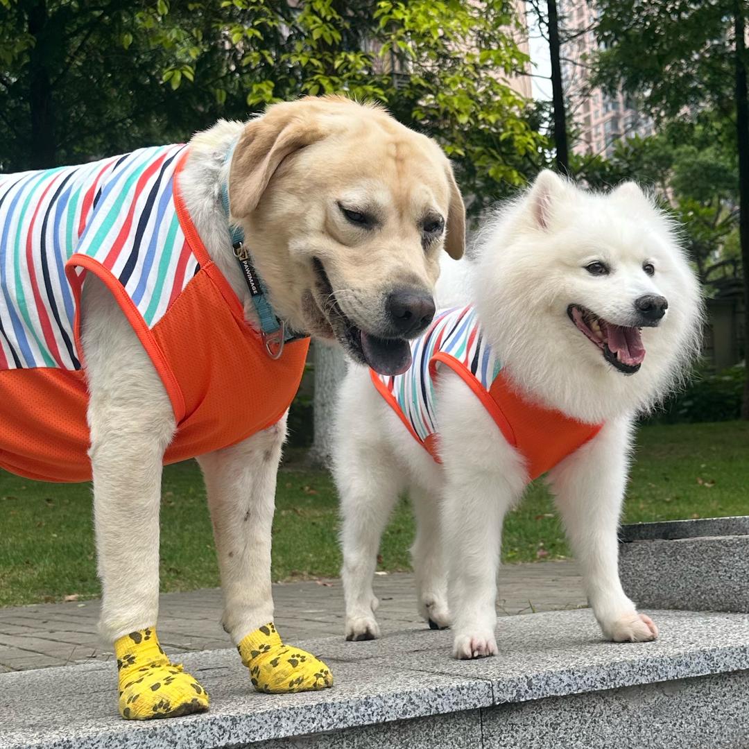 👑淸姿的俩宝👨‍❤️‍👨（勿连赞）