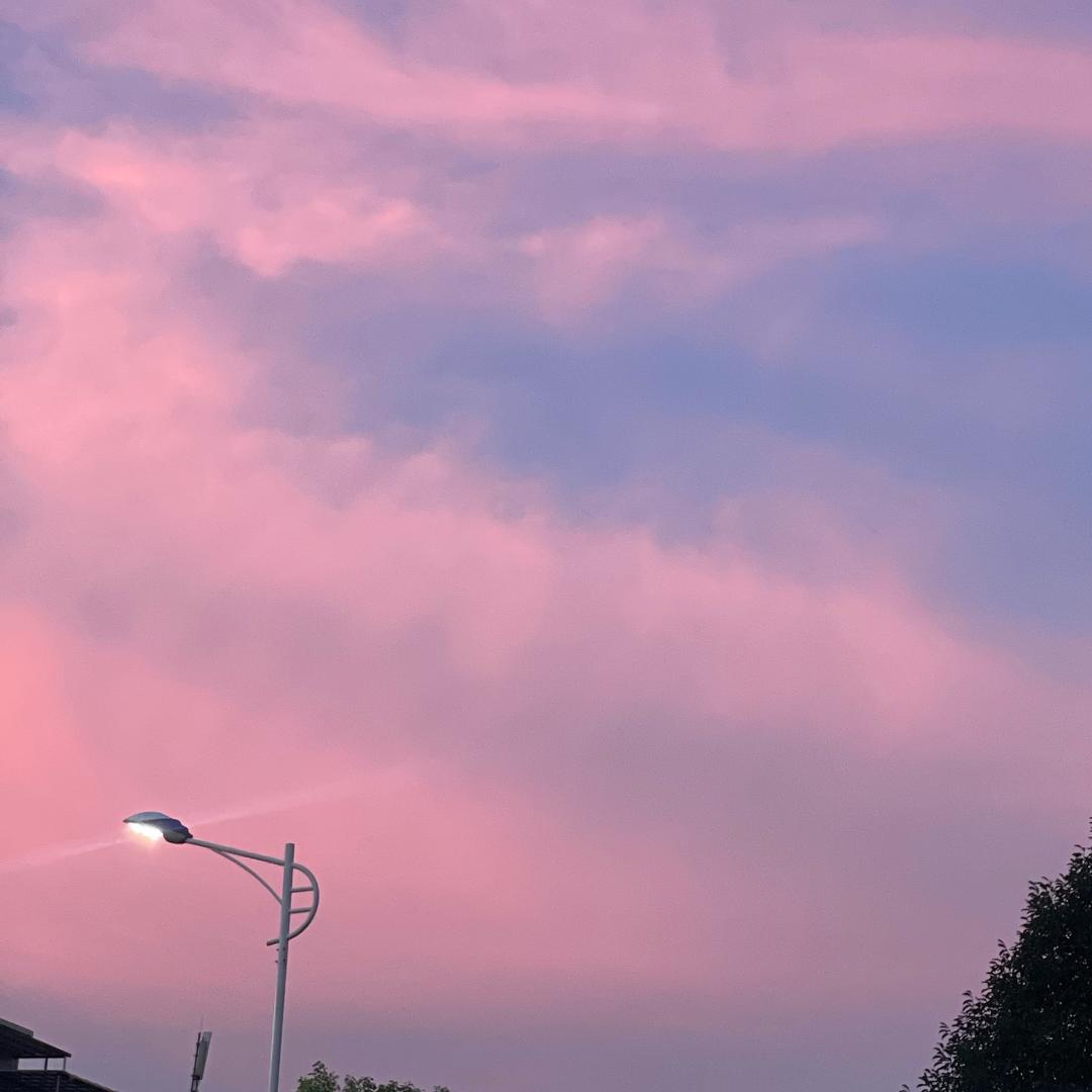 婷婷婆的烤肉店官方号