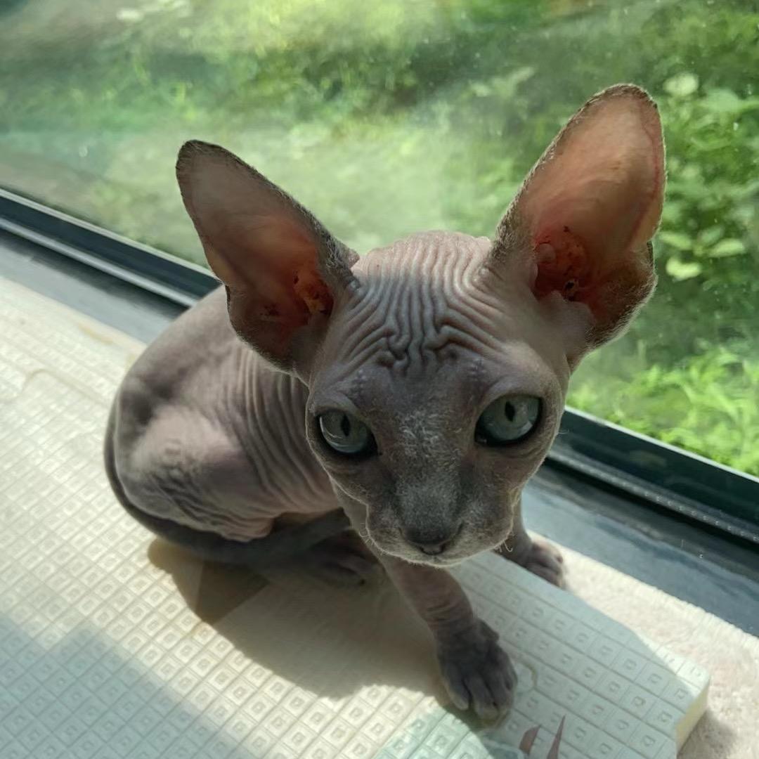满满