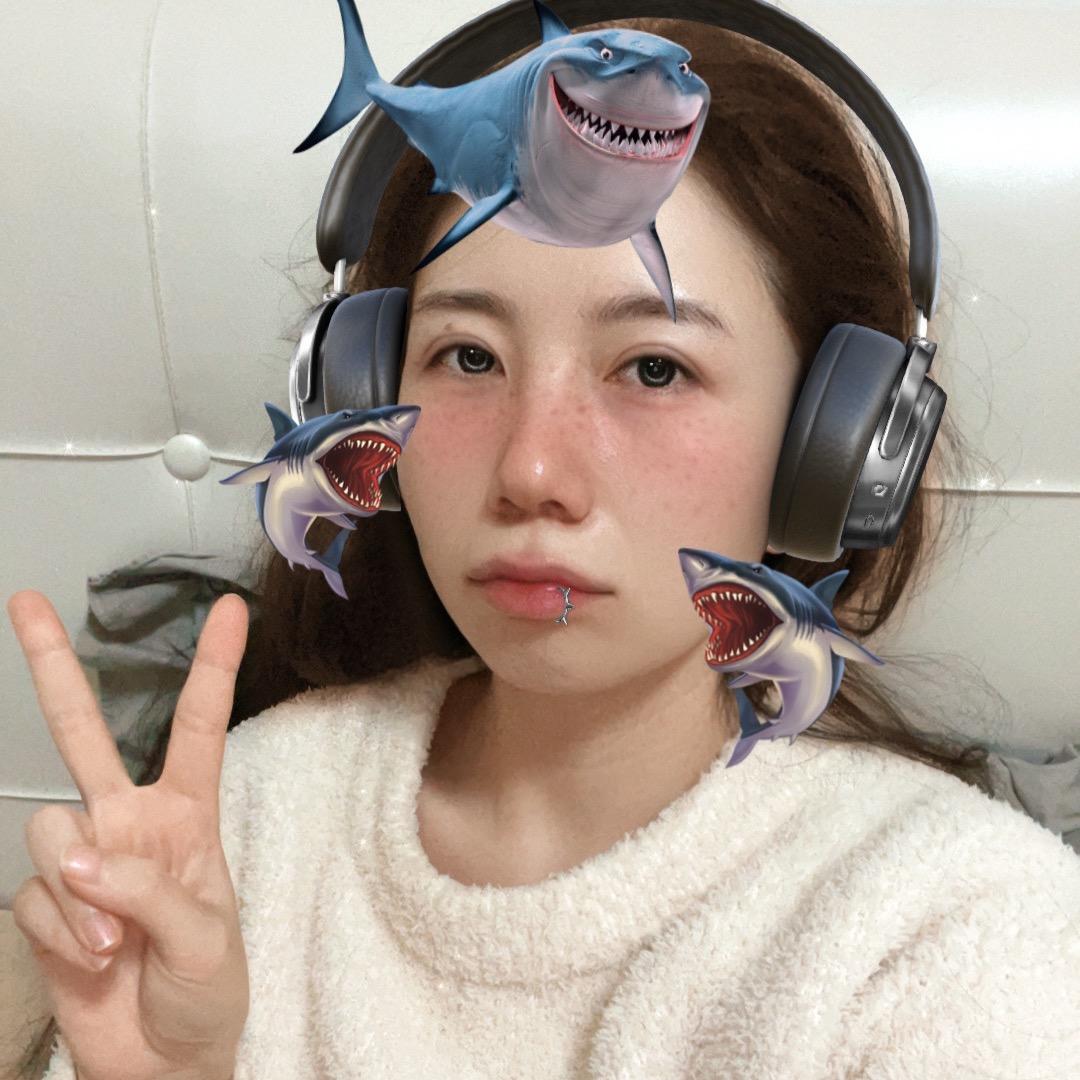 圆滚滚同学