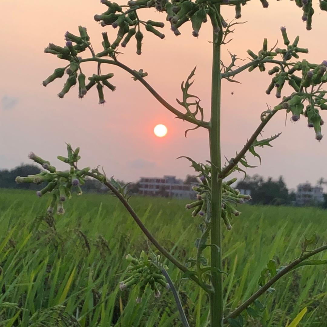 舍取