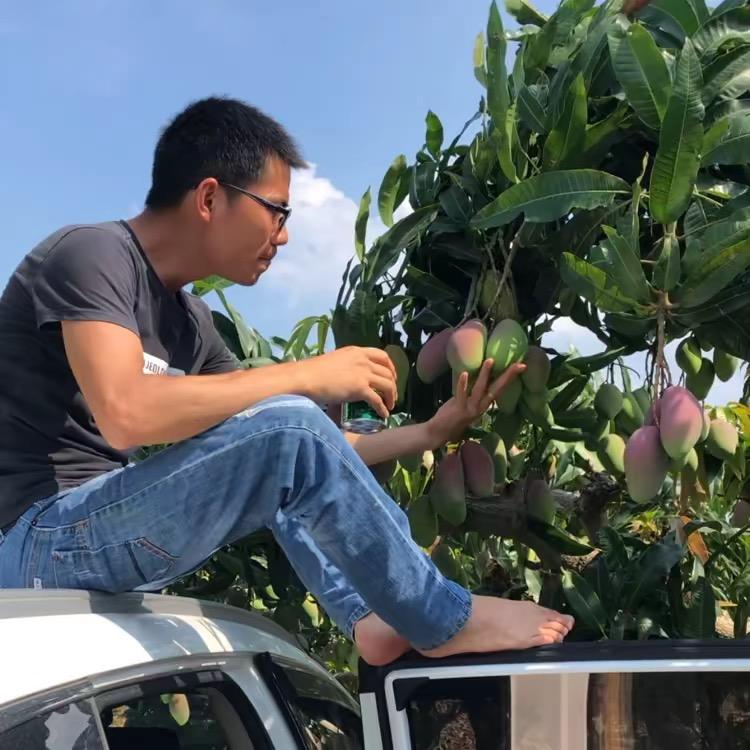 桂鲜生1