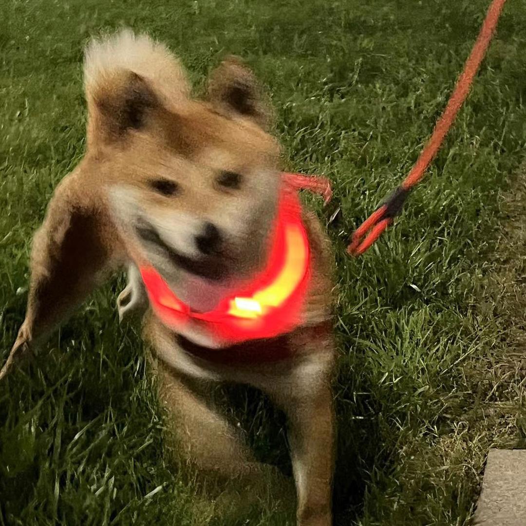 搬砖的吸勾