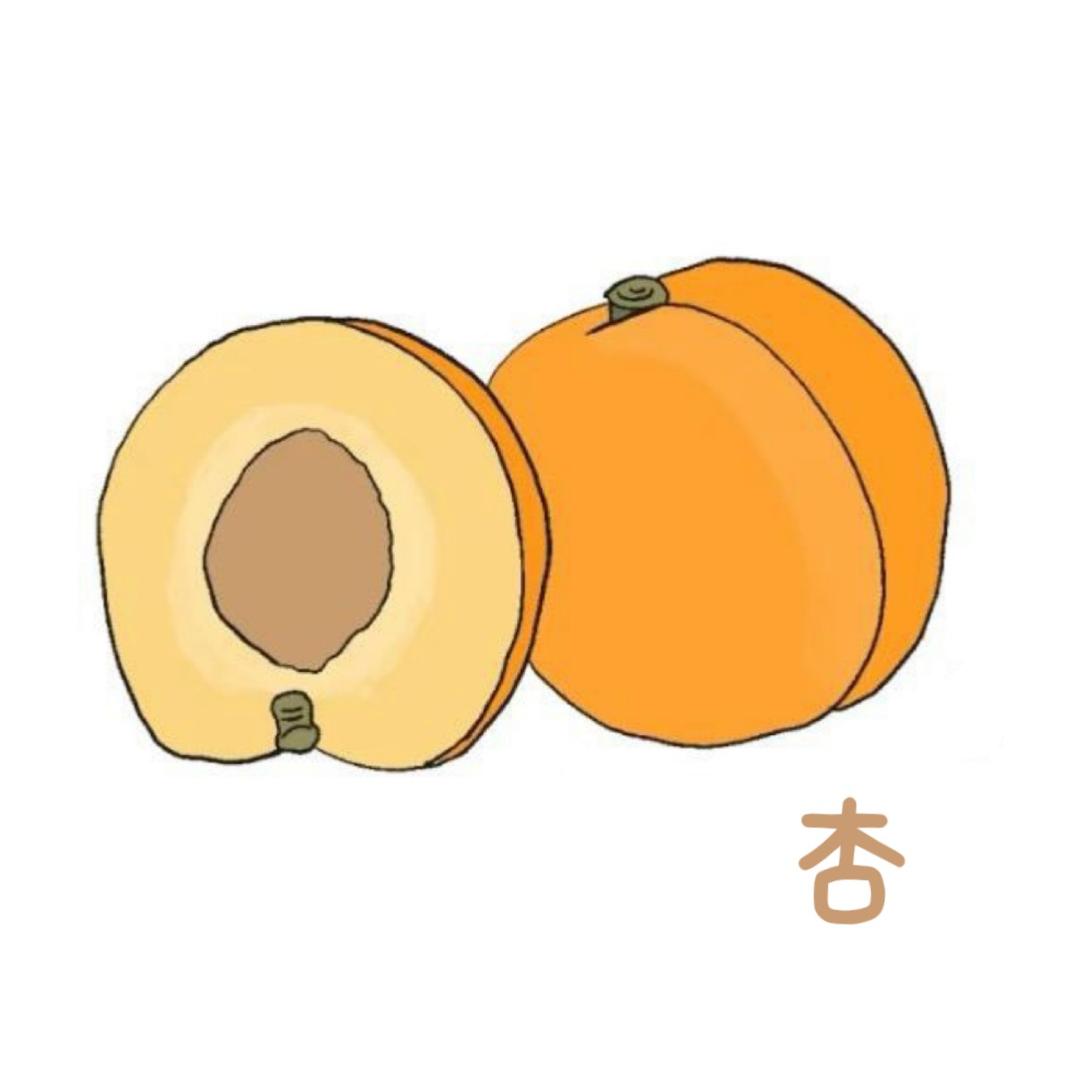 我是幸子所以我不吃杏