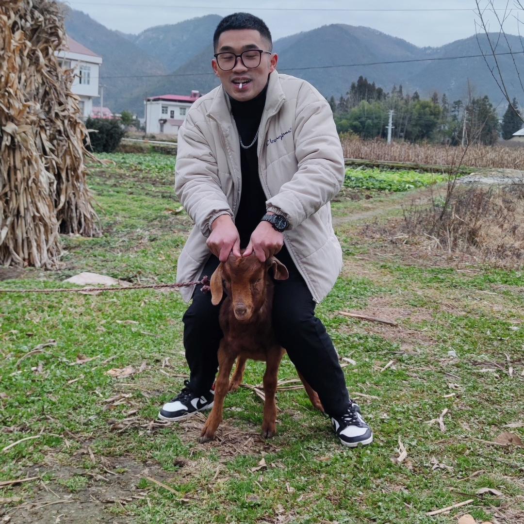 Ling！ （恩特汽车租赁）