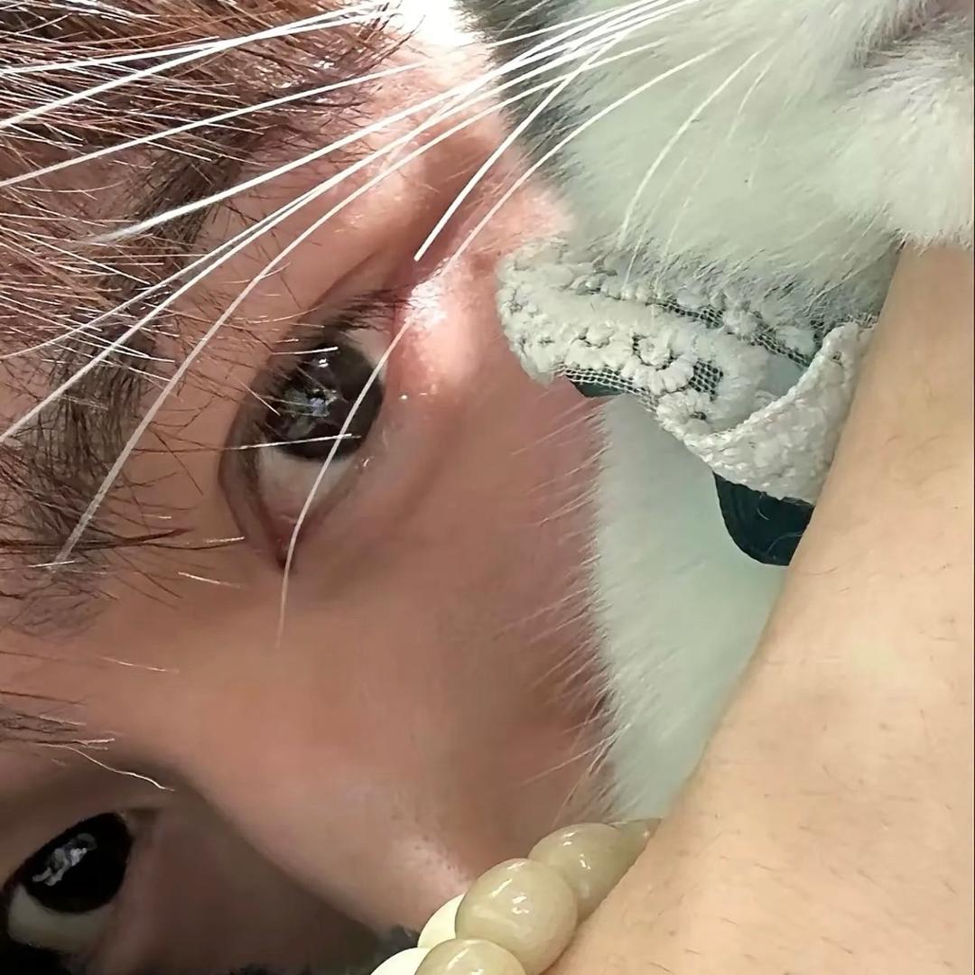 叽里咕噜说啥呢