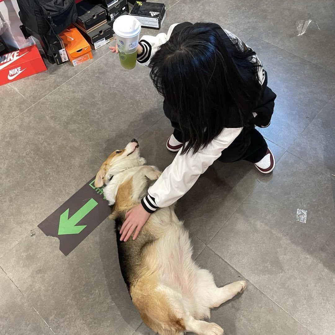 一颗小梨花