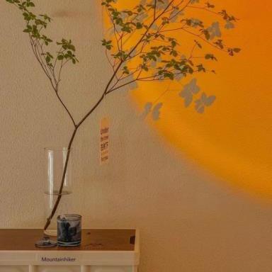 枫林苑花卉