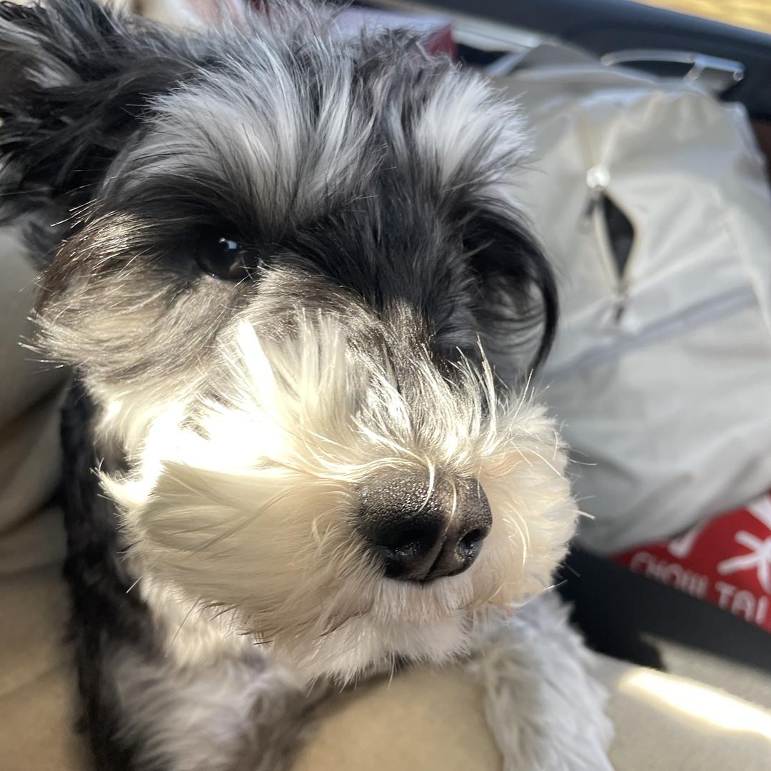 请叫我火鸡面大王