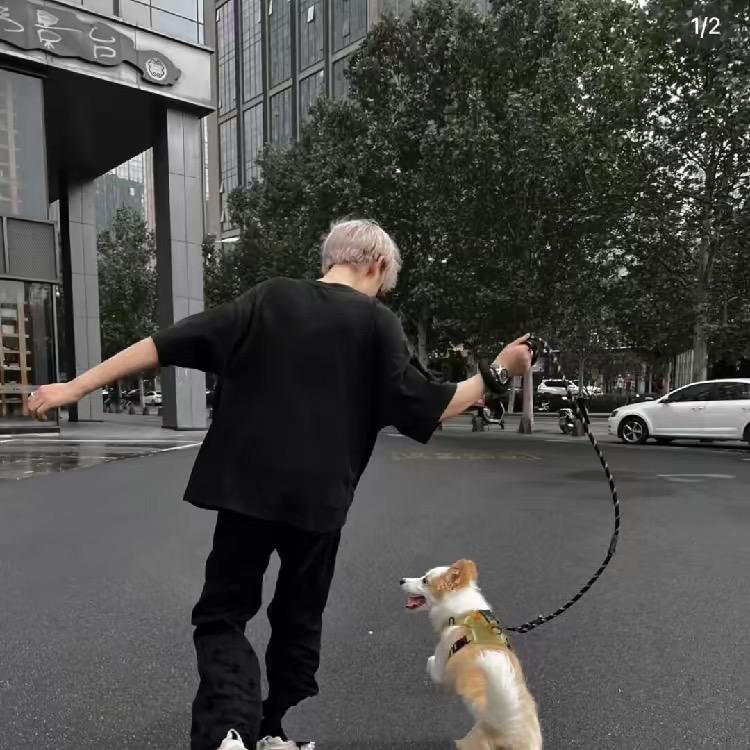 🐶