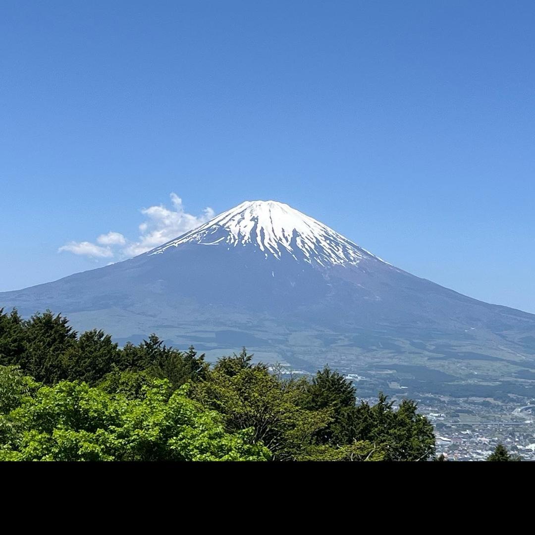 嘉世利运搬装置制造（扬州）有限公司