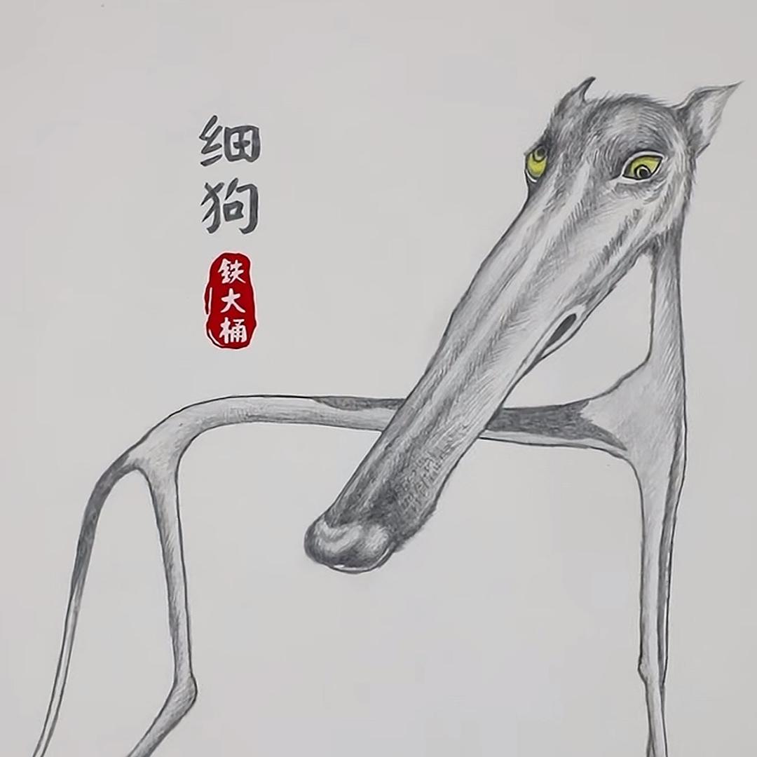 练不壮的细狗