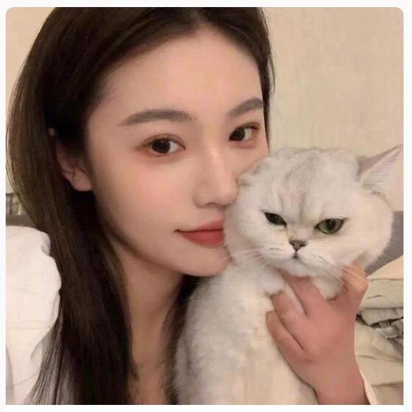 97的🐱