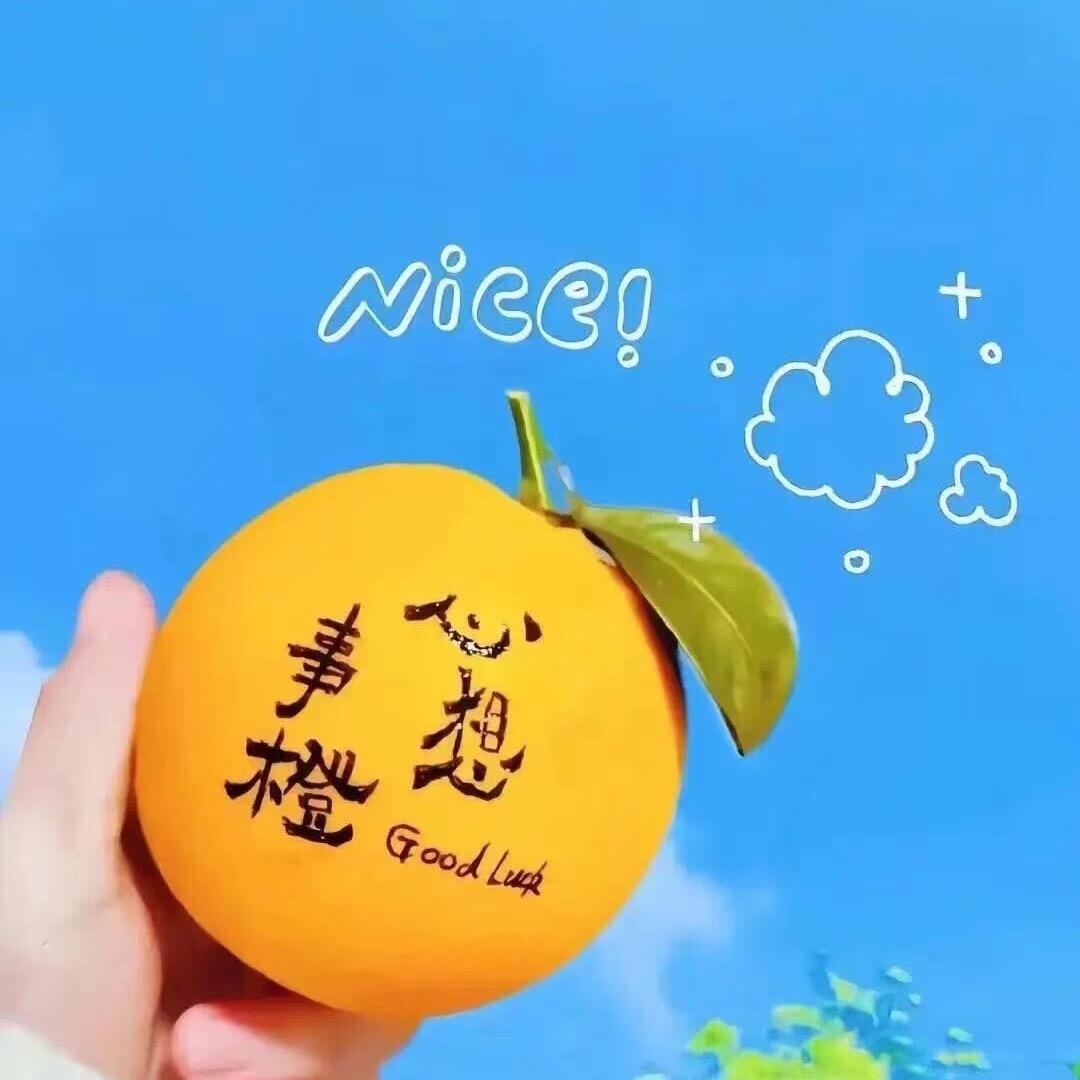 言言老师爱分享