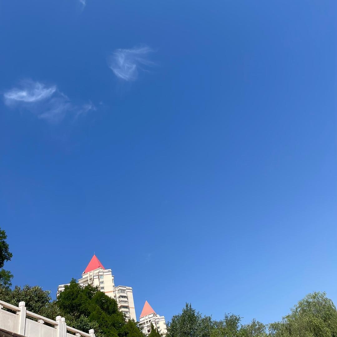 拥抱世界的美丽