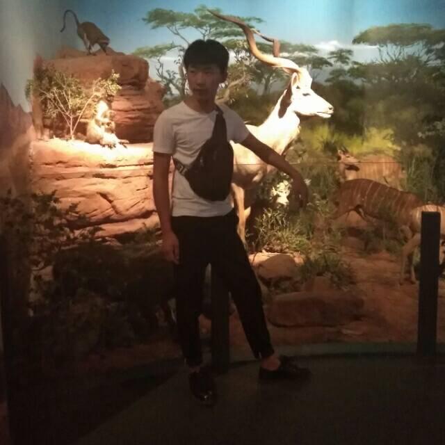 谈何容易🧌