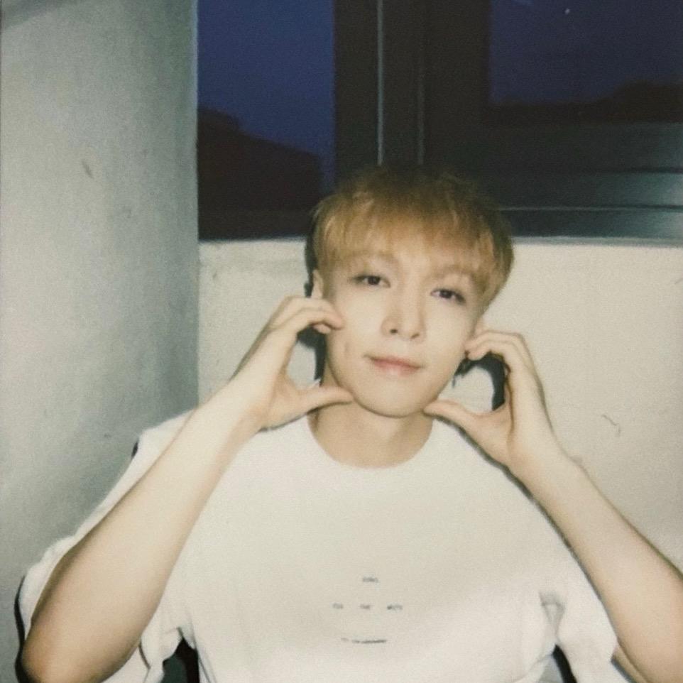 揣着明白装葫芦