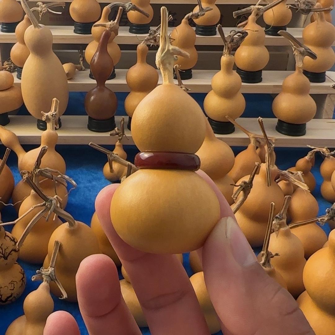 鑫淼葫芦缘缘