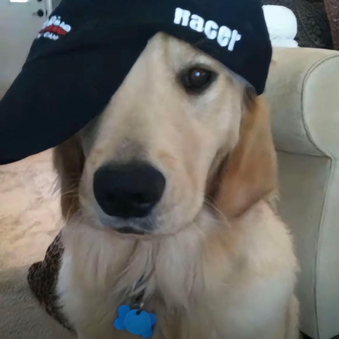 花erERTY（乳酸菌版