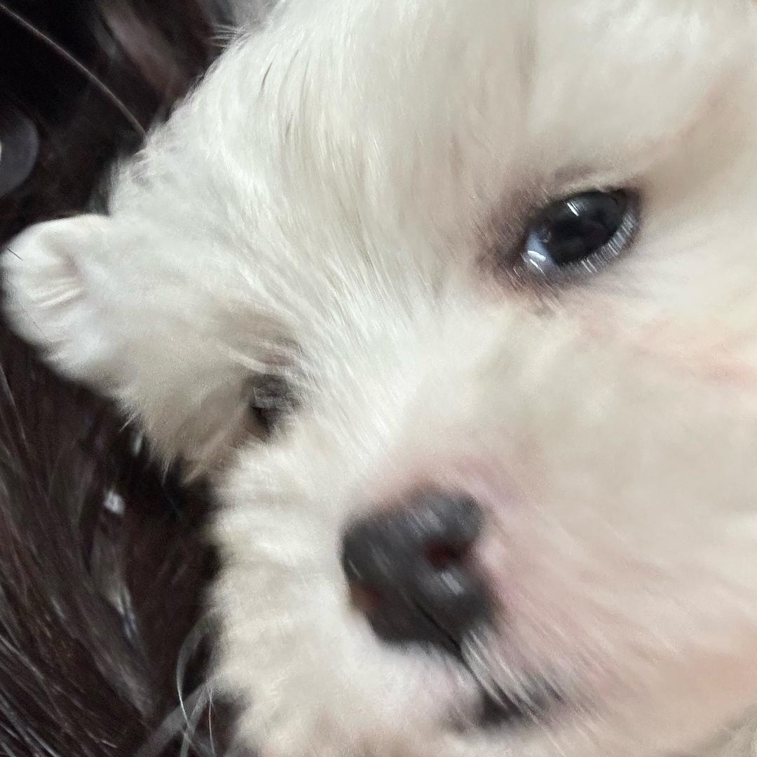 yu玥^