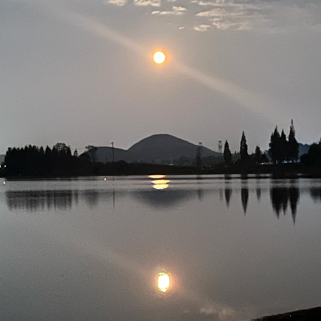 瑾伊