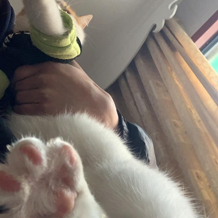 源mm