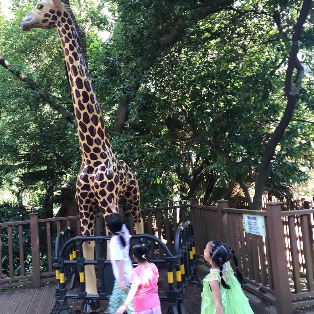 花开富贵┳━┳ノ(°_°ノ)