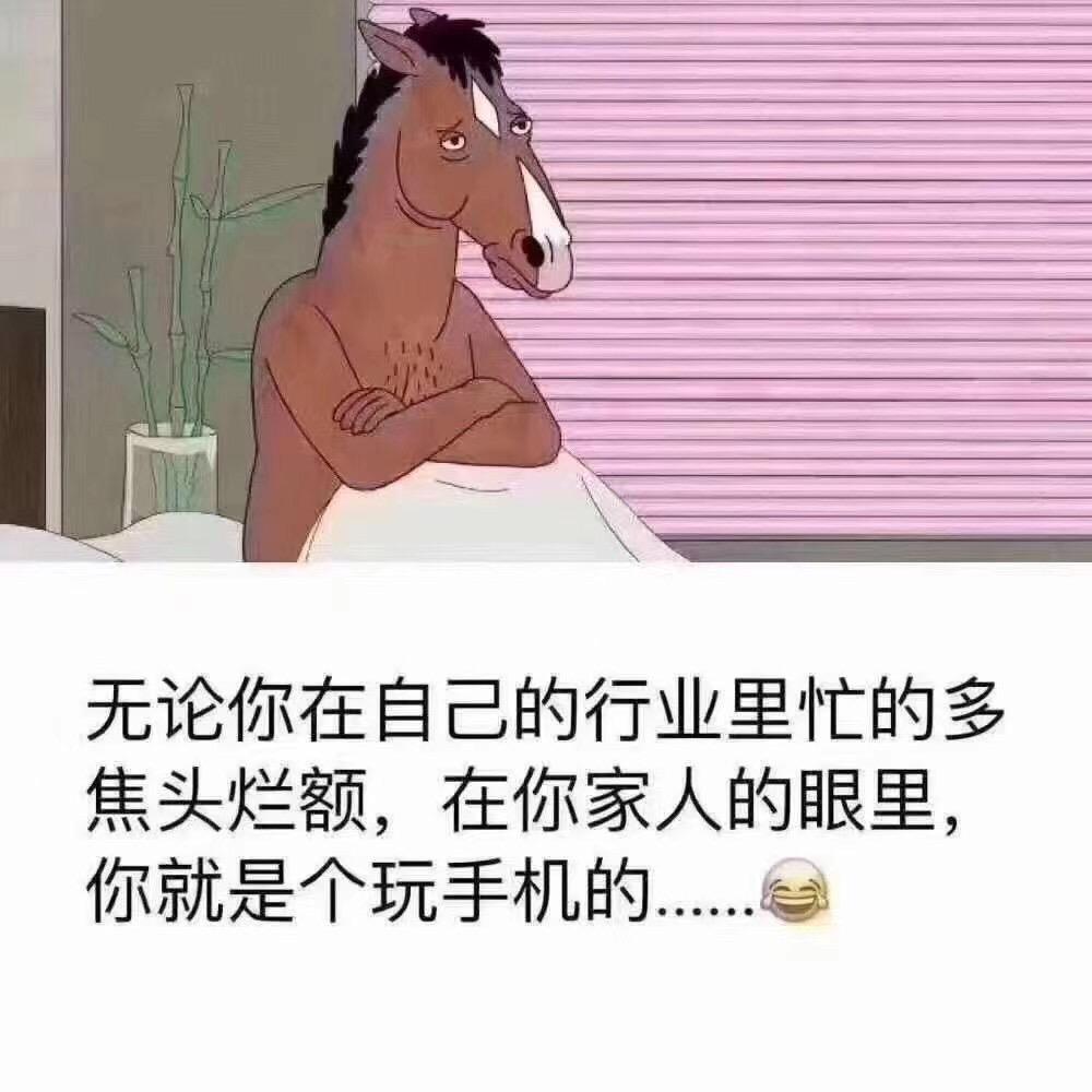 后厂村一哥