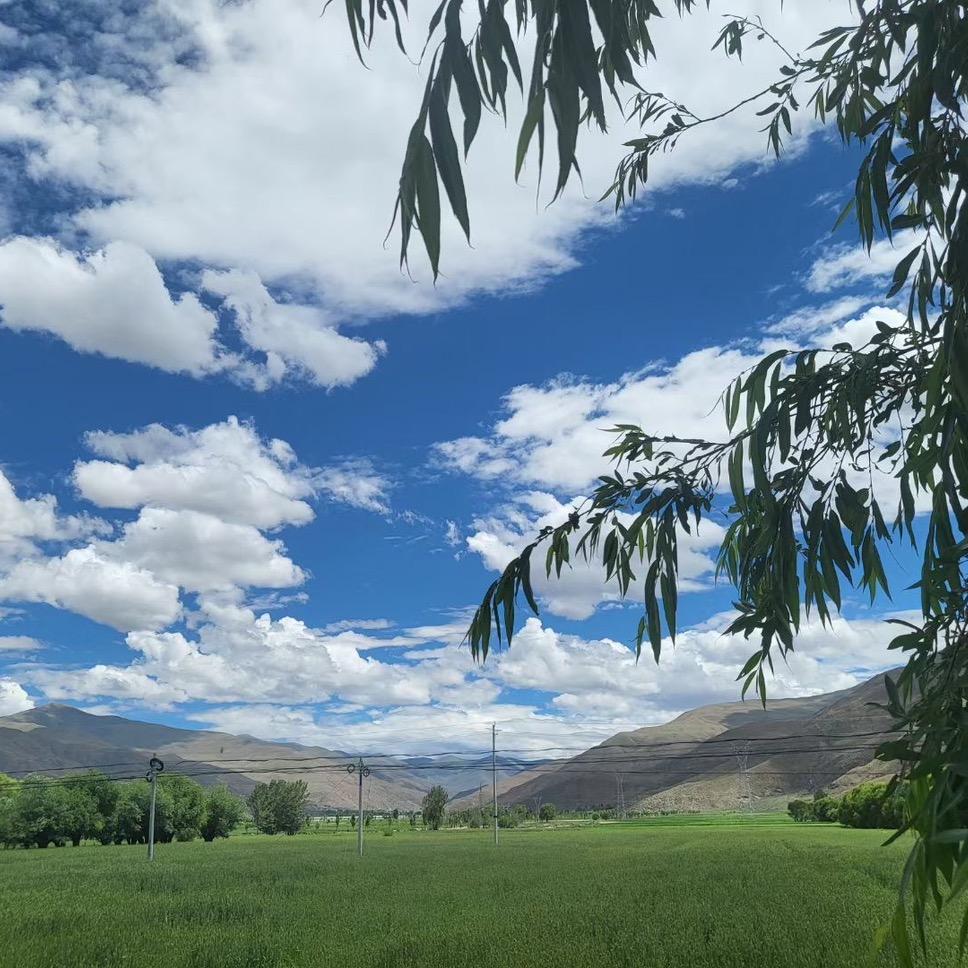 奈斯不奈斯