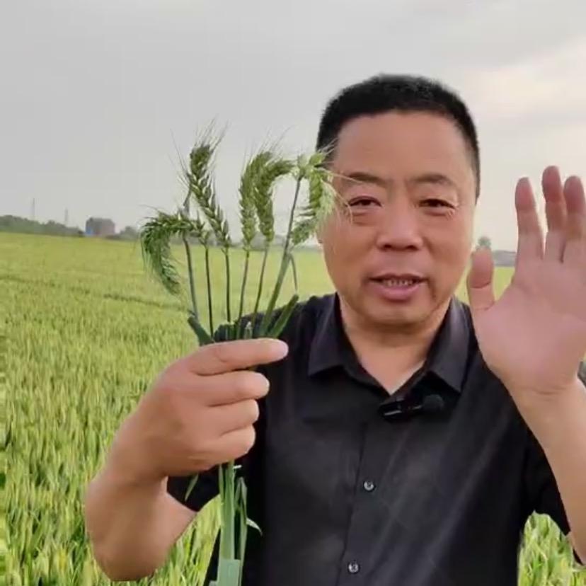 胡哥讲农技