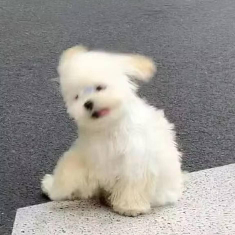 小呀