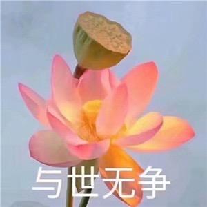 工地少女与砖