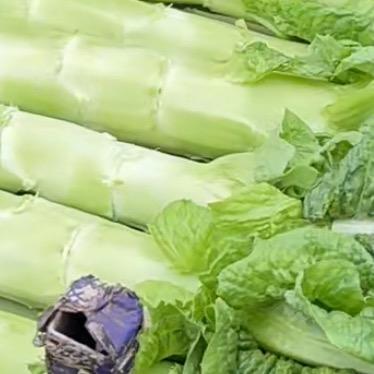 专业加工生菜，巨私聊