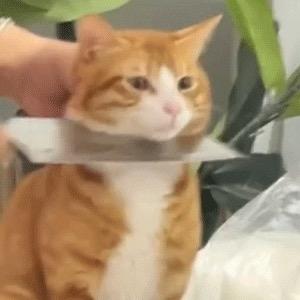 Mastero